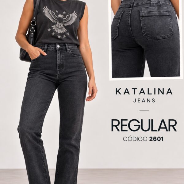jeans regular 2601
